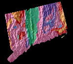 Connecticut Fossils