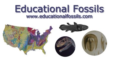 Educational fossils earth roductsscience p