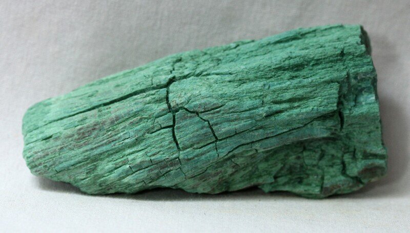 Araucarioxylon arizonicum Petrified Wood