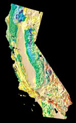 California Fossils