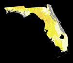 Florida Fossils