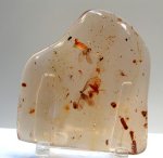 Flying Insects in Amber