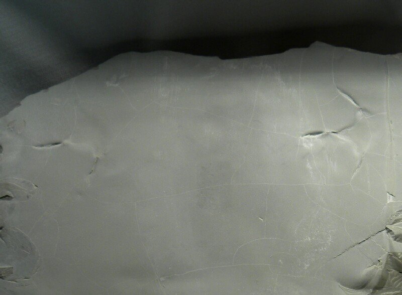 Bird Tracks Ichnofossils from Green River Formation