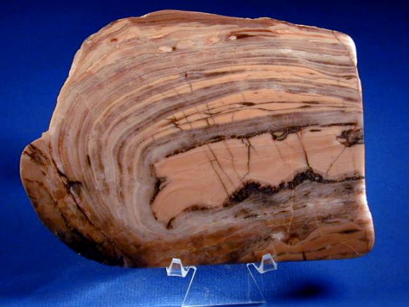 Proterozoic Stromatolites from Michigan