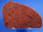 Collenia Form Genus Stromatolites